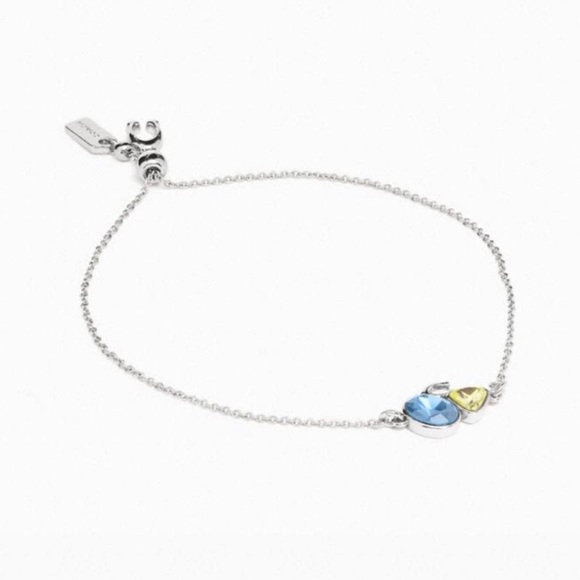 Coach Signature Crystal Slider Bracelet Silver-Tone , Light blue